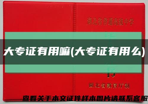 大專證有用嘛(大專證有用么)縮略圖