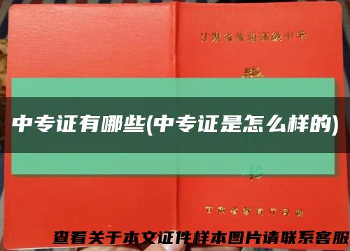 中專證有哪些(中專證是怎么樣的)縮略圖