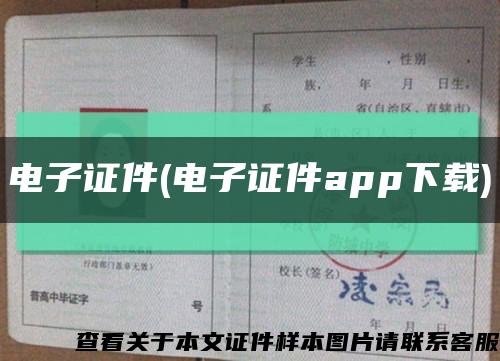 電子證件(電子證件app下載)縮略圖