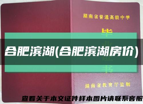 合肥濱湖(合肥濱湖房價)縮略圖