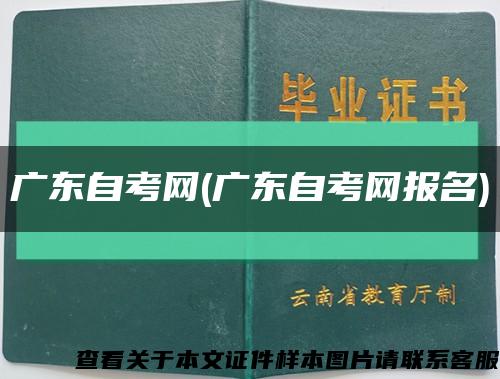 廣東自考網(廣東自考網報名)縮略圖