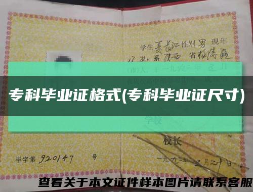 ?？飘厴I證格式(?？飘厴I證尺寸)縮略圖