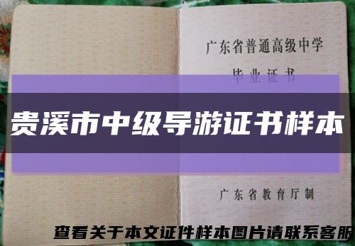 貴溪市中級導游證書樣本縮略圖