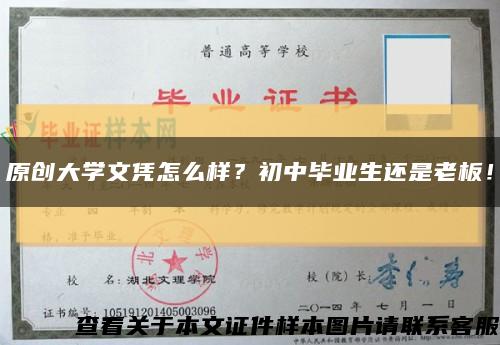 原創大學文憑怎么樣？初中畢業生還是老板！縮略圖