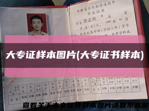 大專證樣本圖片(大專證書樣本)縮略圖