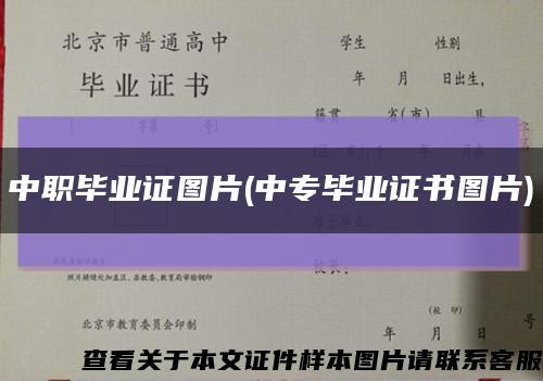 中職畢業證圖片(中專畢業證書圖片)縮略圖