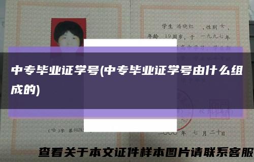 中專畢業證學號(中專畢業證學號由什么組成的)縮略圖