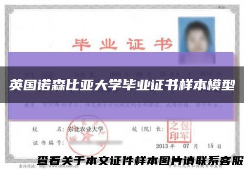 英國諾森比亞大學畢業證書樣本模型縮略圖