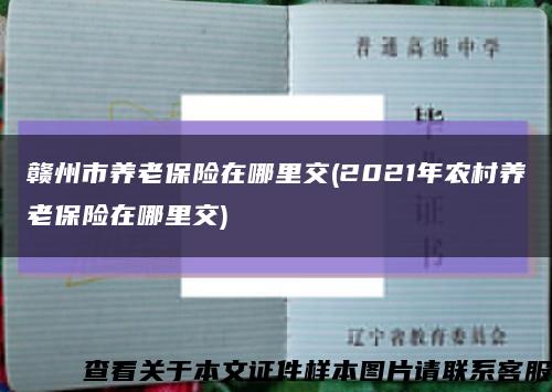 贛州市養老保險在哪里交(2021年農村養老保險在哪里交)縮略圖