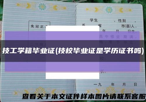 技工學籍畢業證(技校畢業證是學歷證書嗎)縮略圖