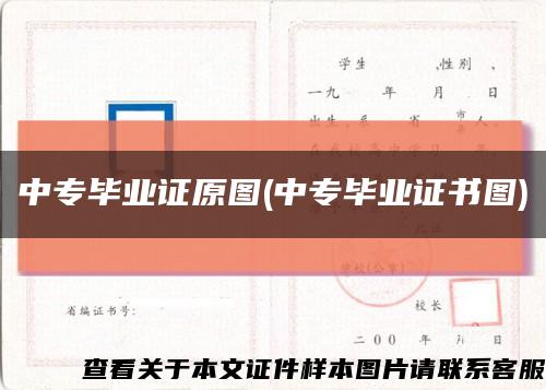 中專畢業證原圖(中專畢業證書圖)縮略圖