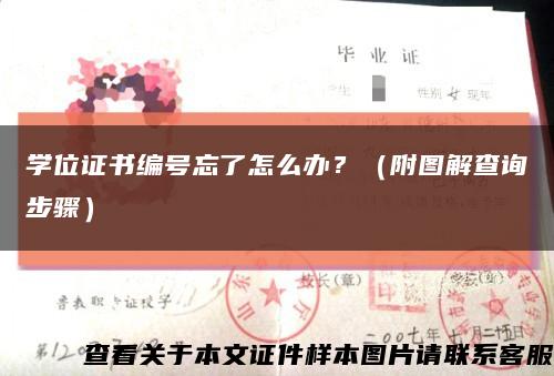 學位證書編號忘了怎么辦？（附圖解查詢步驟）縮略圖