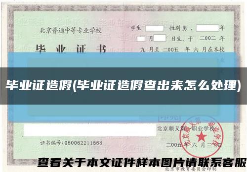 畢業證造假(畢業證造假查出來怎么處理)縮略圖