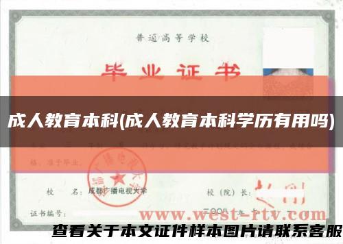 成人教育本科(成人教育本科學歷有用嗎)縮略圖