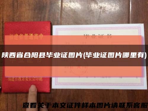 陜西省合陽縣畢業證圖片(畢業證圖片哪里有)縮略圖