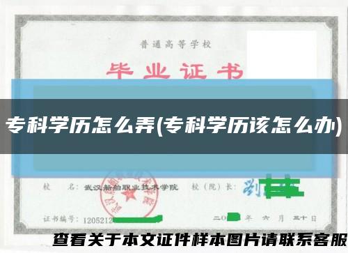 ?？茖W歷怎么弄(?？茖W歷該怎么辦)縮略圖