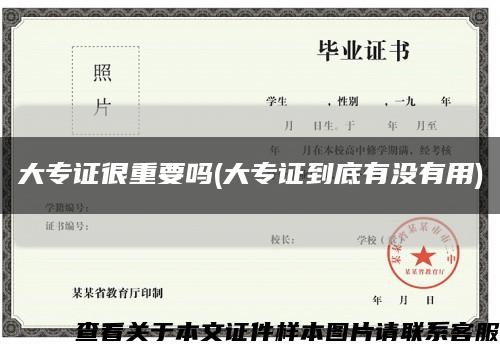 大專證很重要嗎(大專證到底有沒有用)縮略圖