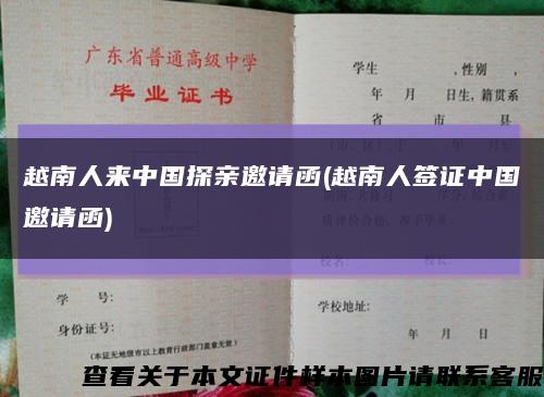 越南人來中國探親邀請函(越南人簽證中國邀請函)縮略圖