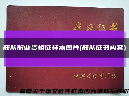 部隊職業資格證樣本圖片(部隊證書內容)縮略圖
