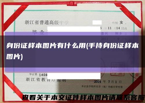 身份證樣本圖片有什么用(手持身份證樣本圖片)縮略圖