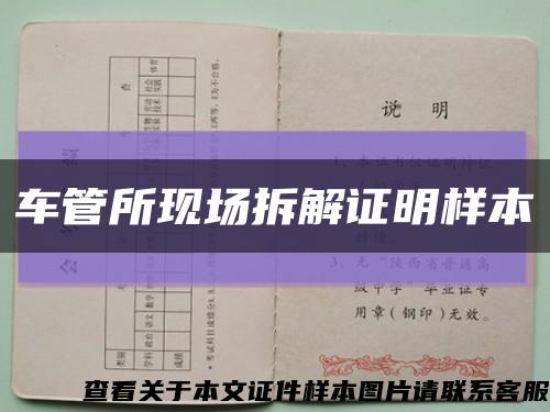 車管所現場拆解證明樣本縮略圖