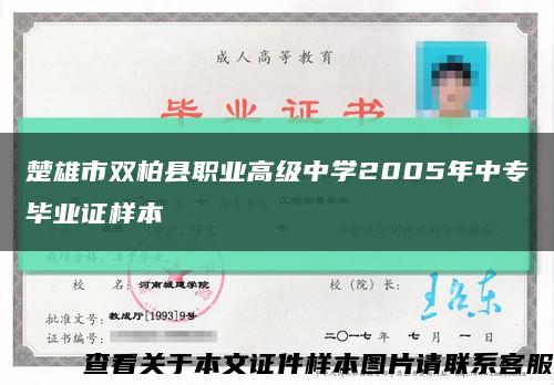 楚雄市雙柏縣職業高級中學2005年中專畢業證樣本縮略圖