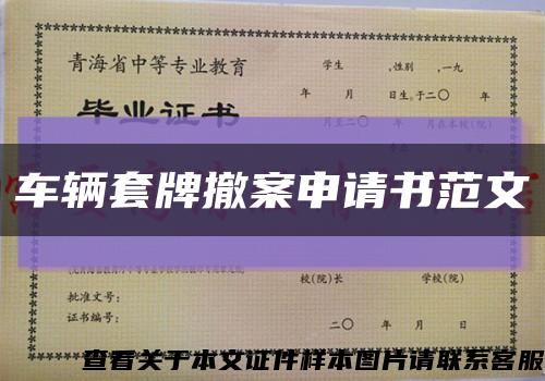 車輛套牌撤案申請書范文縮略圖