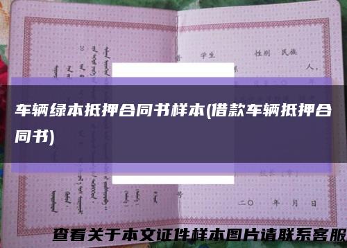 車輛綠本抵押合同書樣本(借款車輛抵押合同書)縮略圖
