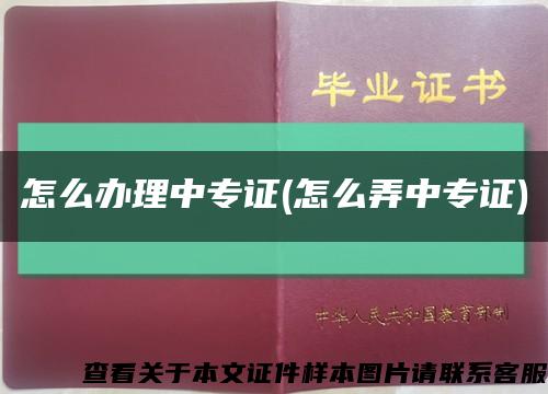 怎么辦理中專證(怎么弄中專證)縮略圖