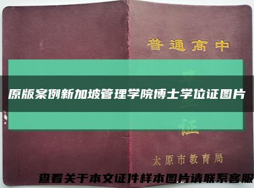 原版案例新加坡管理學院博士學位證圖片縮略圖
