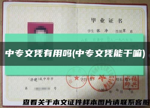 中專文憑有用嗎(中專文憑能干嘛)縮略圖