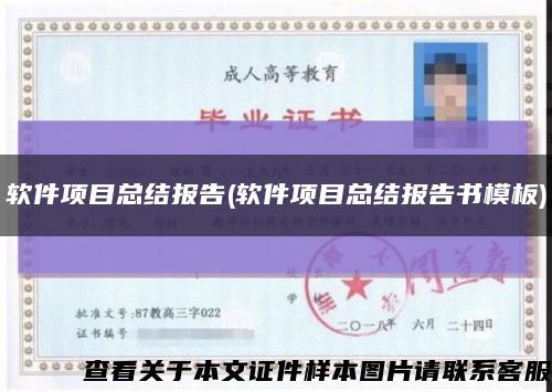 軟件項目總結報告(軟件項目總結報告書模板)縮略圖