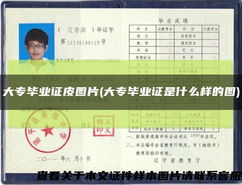 大專畢業證皮圖片(大專畢業證是什么樣的圖)縮略圖