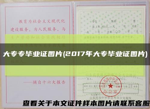 大專專畢業證圖片(2017年大專畢業證圖片)縮略圖