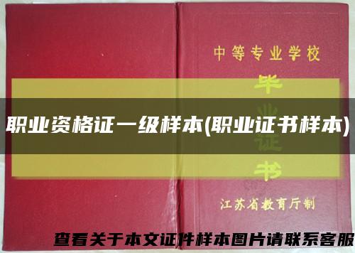 職業資格證一級樣本(職業證書樣本)縮略圖