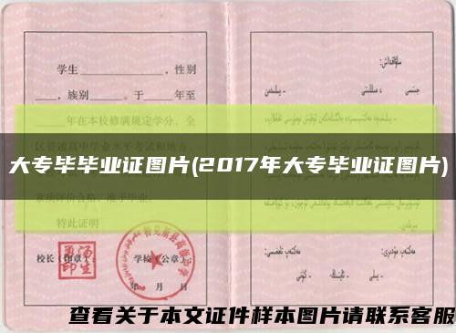 大專畢畢業證圖片(2017年大專畢業證圖片)縮略圖
