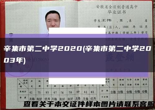 辛集市第二中學2020(辛集市第二中學2003年)縮略圖