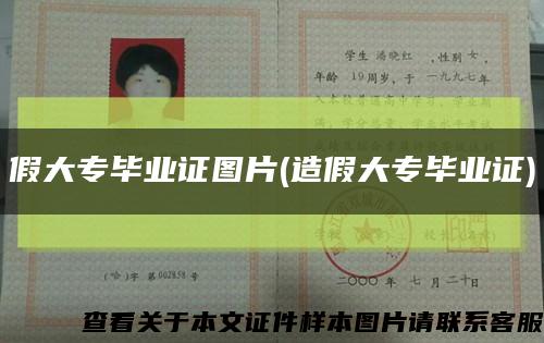 假大專畢業證圖片(造假大專畢業證)縮略圖