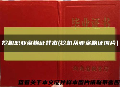 挖機職業資格證樣本(挖機從業資格證圖片)縮略圖