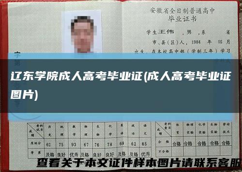 遼東學院成人高考畢業證(成人高考畢業證圖片)縮略圖