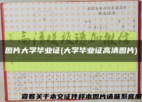 圖片大學畢業證(大學畢業證高清圖片)縮略圖