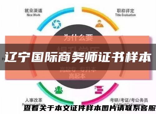 遼寧國際商務師證書樣本縮略圖