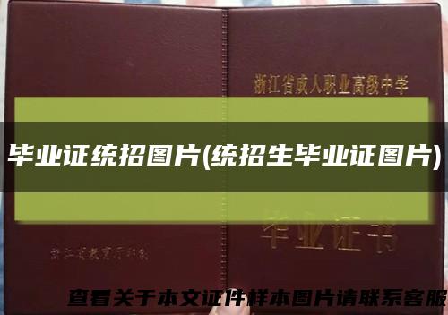 畢業證統招圖片(統招生畢業證圖片)縮略圖