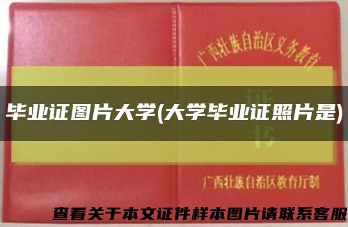 畢業證圖片大學(大學畢業證照片是)縮略圖