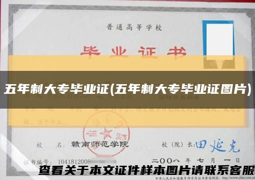 五年制大專畢業證(五年制大專畢業證圖片)縮略圖