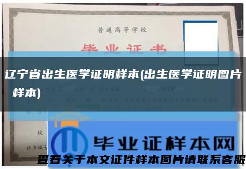 遼寧省出生醫學證明樣本(出生醫學證明圖片 樣本)縮略圖