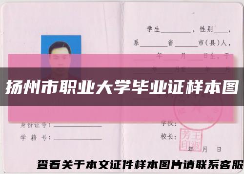 揚州市職業大學畢業證樣本圖縮略圖