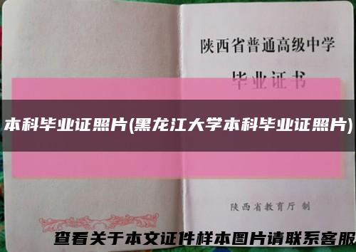 本科畢業證照片(黑龍江大學本科畢業證照片)縮略圖