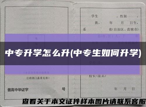 中專升學怎么升(中專生如何升學)縮略圖