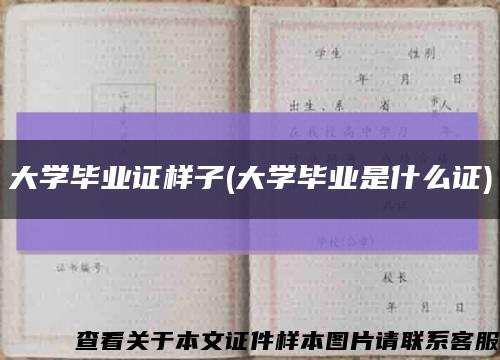 大學畢業證樣子(大學畢業是什么證)縮略圖